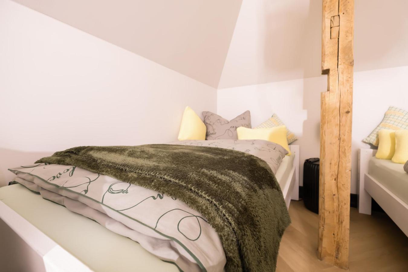 Aussergewoehnliche Ferienwohnung Stadtvilla Plauen Luaran gambar