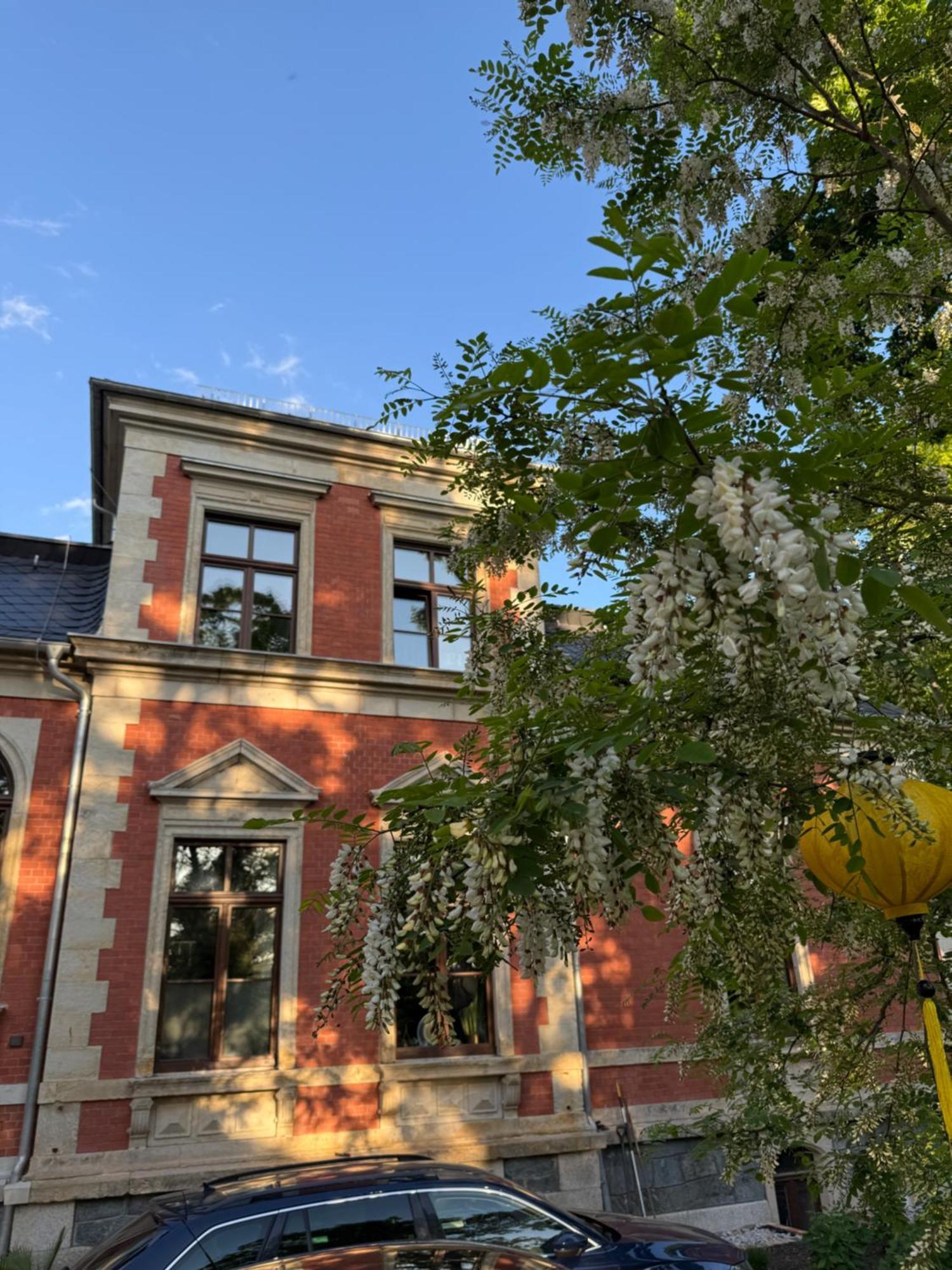 Aussergewoehnliche Ferienwohnung Stadtvilla Plauen Luaran gambar